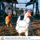 Chicken Wire Netting| 25mm Opening Hole Wire Mesh Customized Size for Poultry House