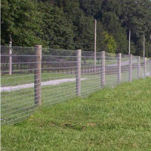 Field Fence|Wire Farm Fence by Hot Dipped Galvanized Wire for Cattle/Deer