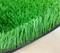 Landscape with Artificial Grass Waterless Lawn supplier