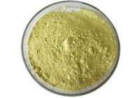 Bulk Powdered Herbal Extracts Sophora Japonica Fruit Extract Rutin 95% Powder