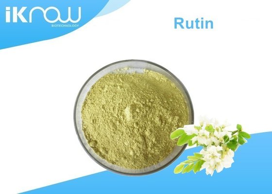 Bulk Powdered Herbal Extracts Sophora Japonica Fruit Extract Rutin 95% Powder