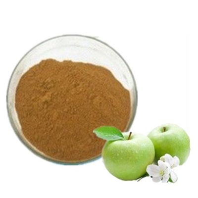 CAS 60-82-2 Powdered Herbal Extracts Purely Natural Phloretin Powder