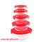 5Pcs Heat Resistant Preservation Glass Bowls Nested Dipping or Storage Bowls with Lids supplier