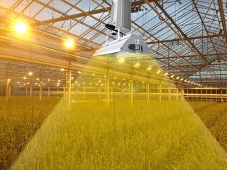 Aluminum Hood Greenhouse Grow Lights With 1000 Watts Double - Ended HPS Lamp supplier