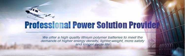 China best Desgin lithium battery pack on sales