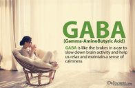 GABA - gamma-aminobutyric acid