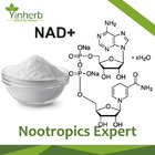 β-Nicotinamide Adenine Dinucleotide（NAD+）