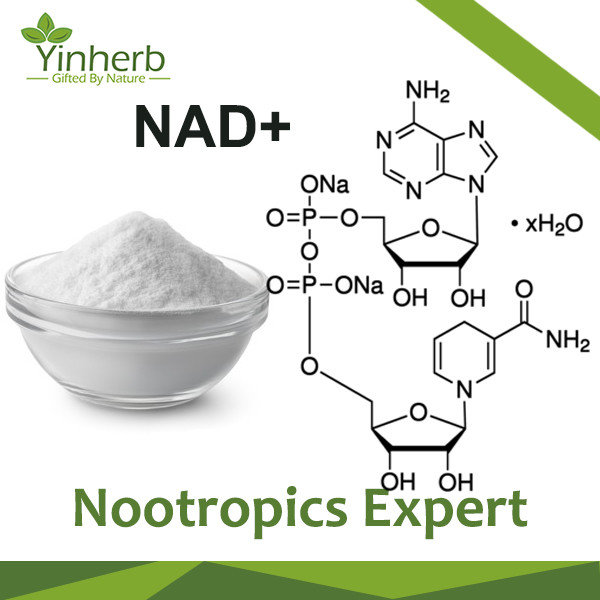 β-Nicotinamide Adenine Dinucleotide（NAD+）