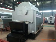 Indonesia DZL 6 Ton Coal Fired Steam Boiler Price